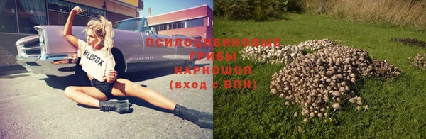 ешки Мегион