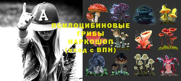 mdma Медвежьегорск