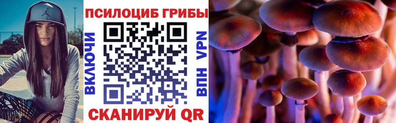 Галлюциногенные грибы мицелий  Навашино 